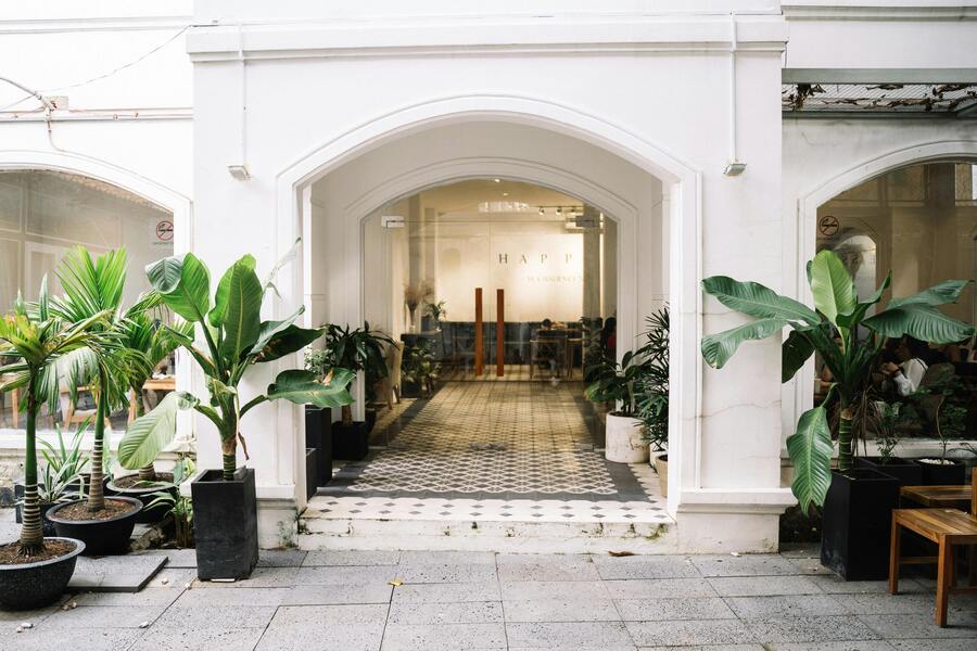 Bright and clean storefront entrance with lush green plants, symbolizing positive first impressions and welcoming energy