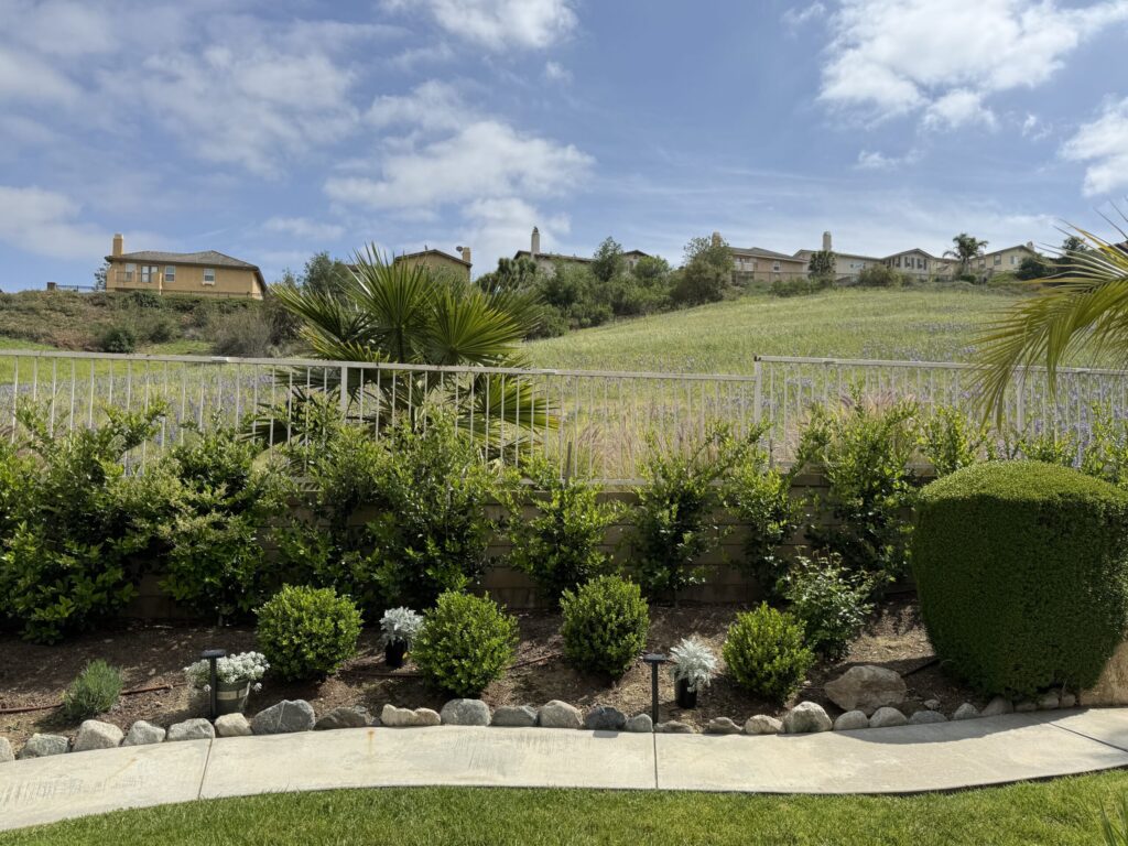 “A backyard in Chino Hills facing a gentle upward slope with open green space, illustrating the supportive ‘backing’ and stable landform emphasized in Feng Shui.”